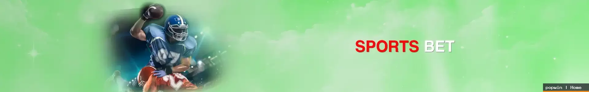 popwin home visual guide 1